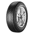 GT Radial 205/55R17 95H XL WinterPro 2 TL