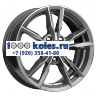 iFree 6,5x16/5x100 ET35 D67,1 Икигай (КС865) Хай Вэй
