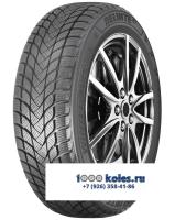 Delinte 205/50 r17 Winter WD6 93H