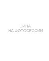 Tunga 185/60 r15 Nordway 3 84Q Шипы