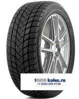 Delinte 205/55 r17 Winter WD6 95H