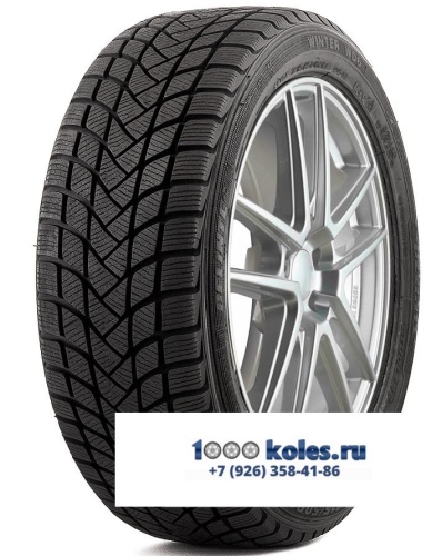 Delinte 205/55 r17 Winter WD6 95H