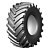 Belshina 30,5R32(800/65R32) 172A8 Ф-81 TT